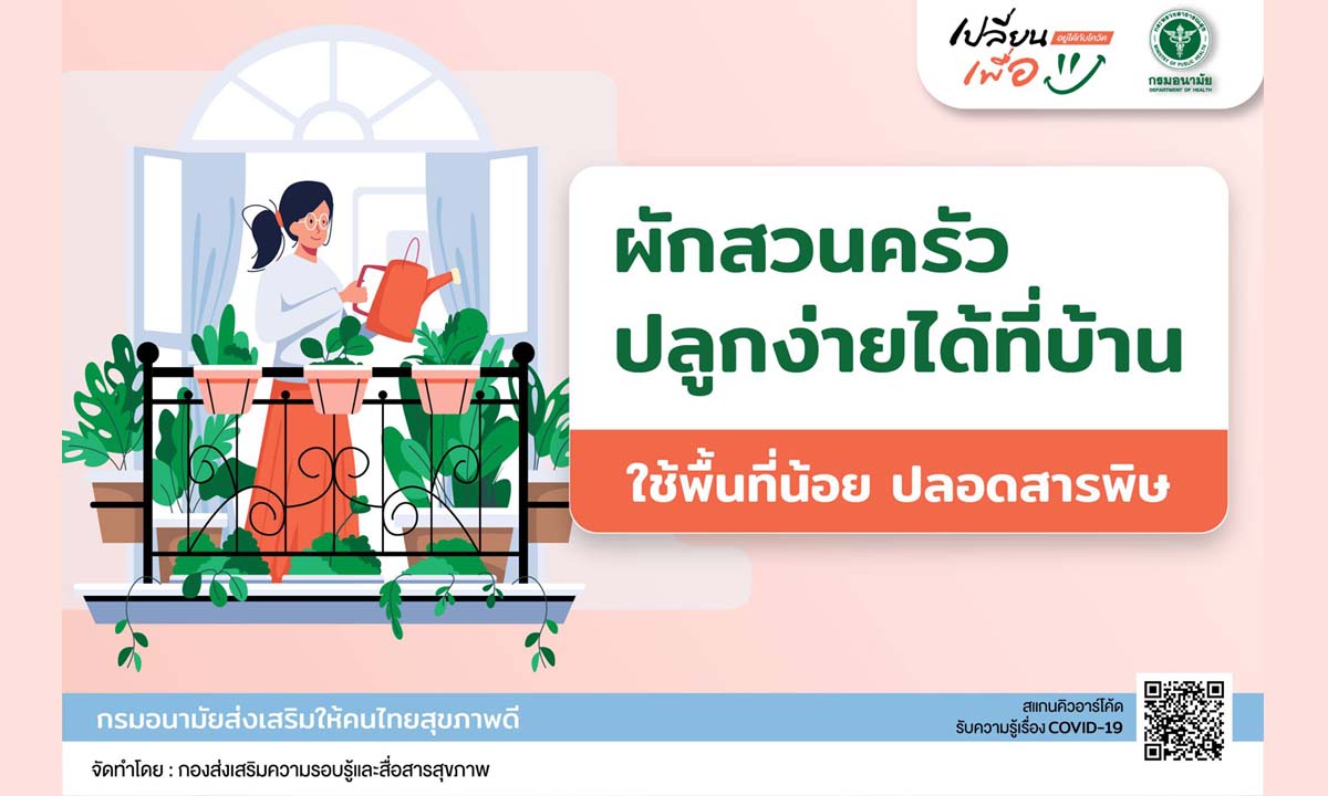 รวมผักสวนครัว ปลูกง่าย ใช้ที่น้อย ปลอดสารพิษ