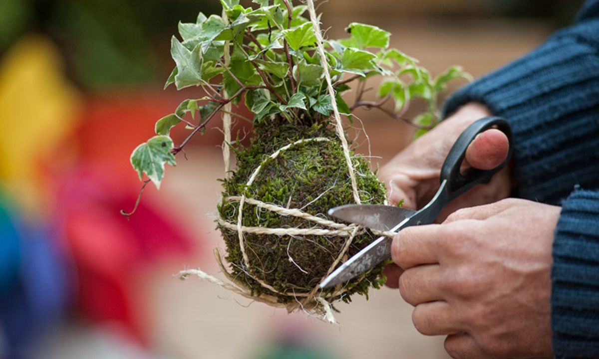 วิธีทำ Kokedama สวนทรงกลมสไตล์ญี่ปุ่น พื้นที่จำกัดก็เป็นสายเขียวได้