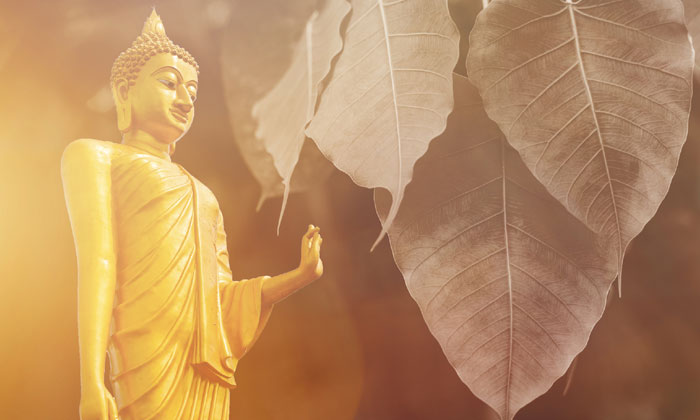 วันวิสาขบูชาวันสำคัญของพุทธศาสนิกชนชาวไทย
