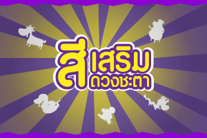 สีเสริมดวงชะตา 12 นักษัตร