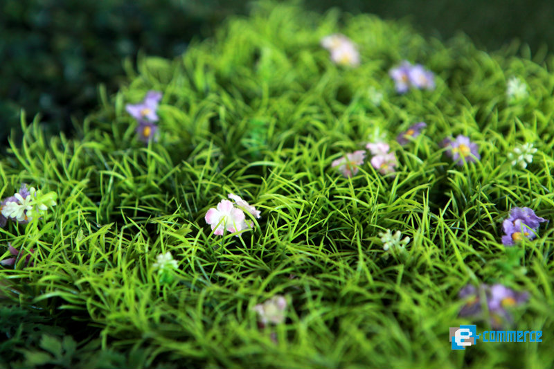 Grass Ideas พื้นที่สีเขียวบนโลกออนไลน์