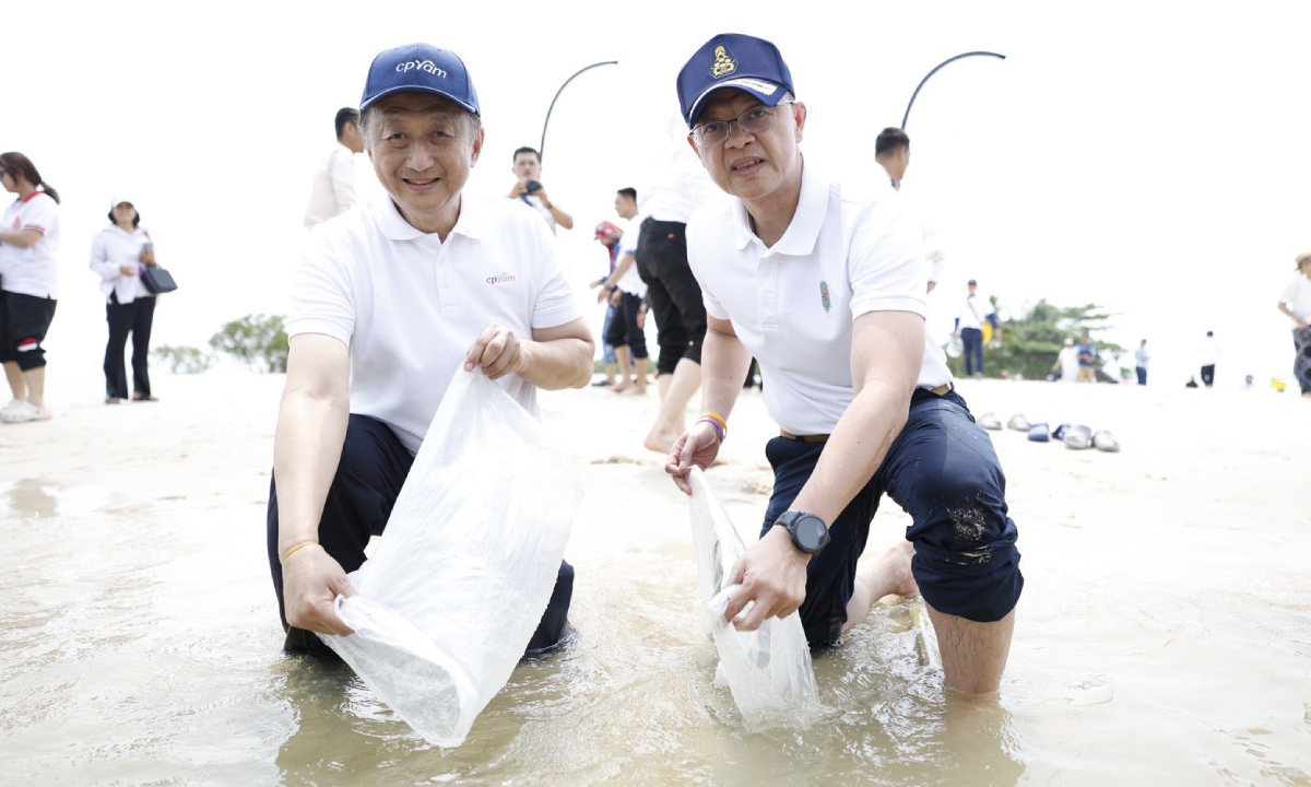 ซีพีแรม–ชาวบ้านสุราษฎร์ธานี ลุยปล่อยลูกปูม้ากว่า 2 แสนตัวสู่ทะเลไทยสร้างความมั่นคงทางอาหาร