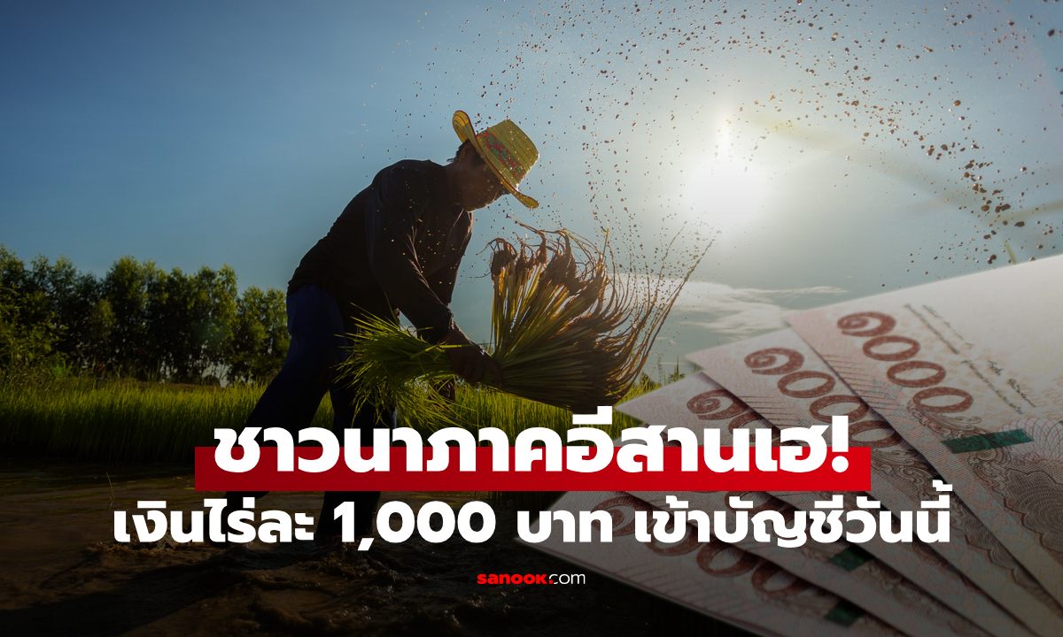 เงินไร่ละ 1,000 บาท เข้าบัญชีชาวนาภาคอีสานแล้ว 3 ก.ย. 68 ตรวจสอบสิทธิด่วน