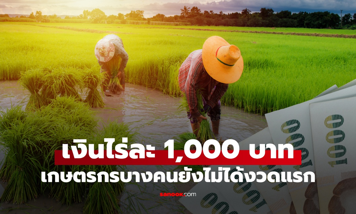 เงินไร่ละ 1,000 บาท เงินเยียวยาเกษตรกร ทำไมบางคนยังไม่ได้งวดแรก