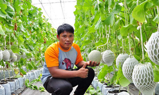 “สถิตย์ ศรีใส” คนรุ่นใหม่ กับ เมล่อนเงินล้าน