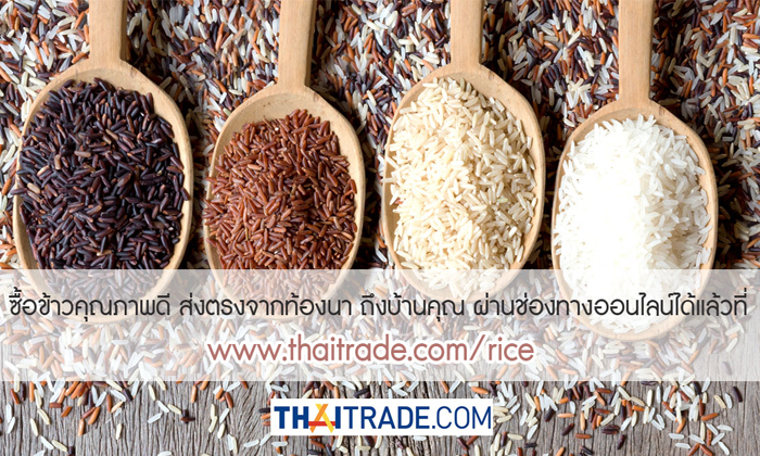 Thaitrade.com ช่วยชาวนา ชวนซื้อข้าวออนไลน์สั่งข้าวส่งด่วน