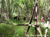 ลำคลองงู กาญจนบุรี