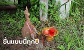 จดเลข! จอมปลวกคล้ายเศียรพญานาค โผล่ในวันเข้าพรรษา เจ้าของบ้านเผยขึ้นแบบนี้ทุกปี